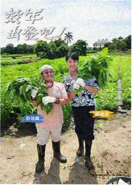 乘风破浪 78电影网